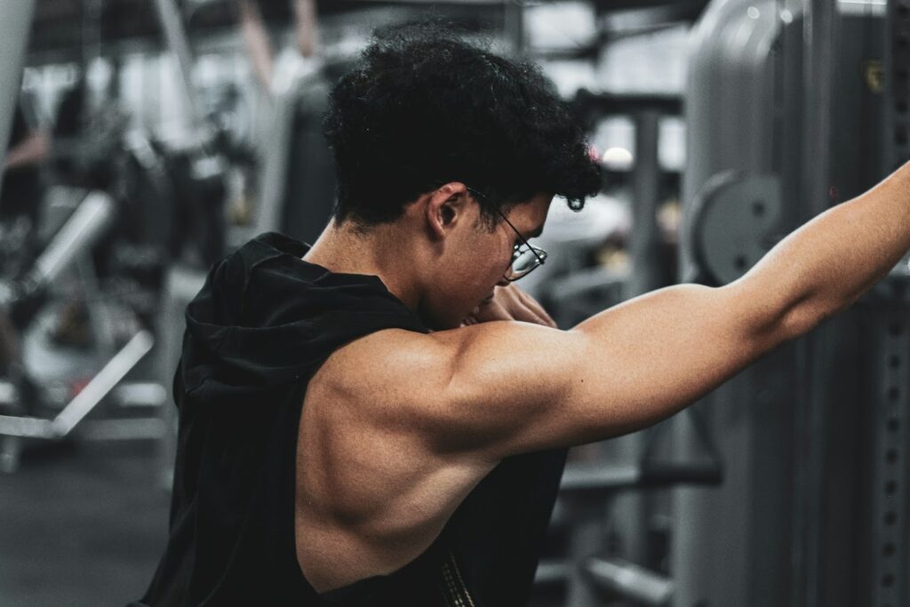 exercícios para deltoides