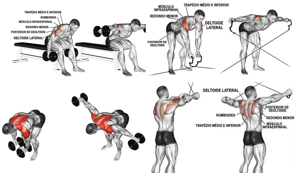exercícios para ombro em casa