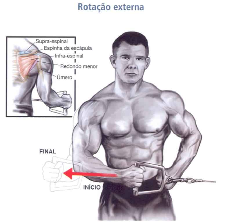 exercícios para ombro na academia