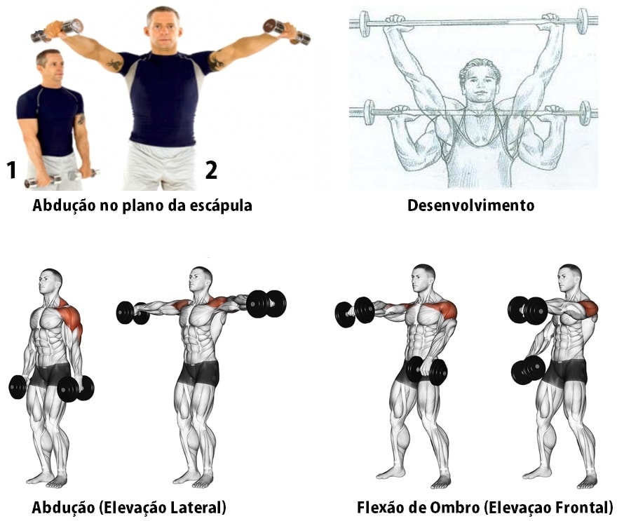 exercícios para ombro na academia