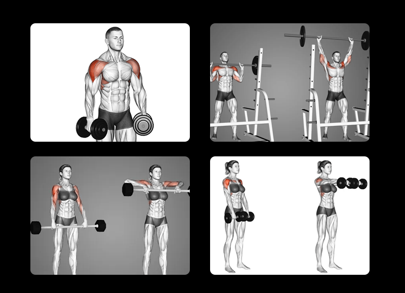 exercícios para ombro e trapézio