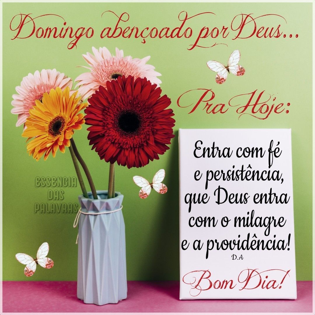 bom dia domingo reflexão