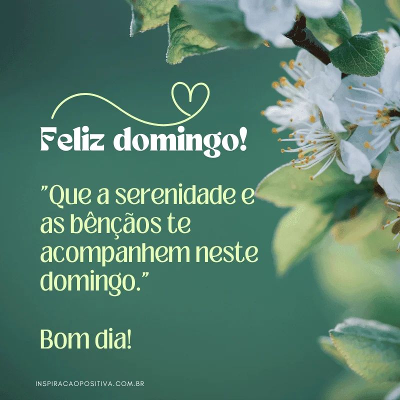 mensagens de bom dia para o grupo do whatsapp domingo