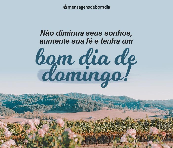 domingo com paz e amor mensagem
