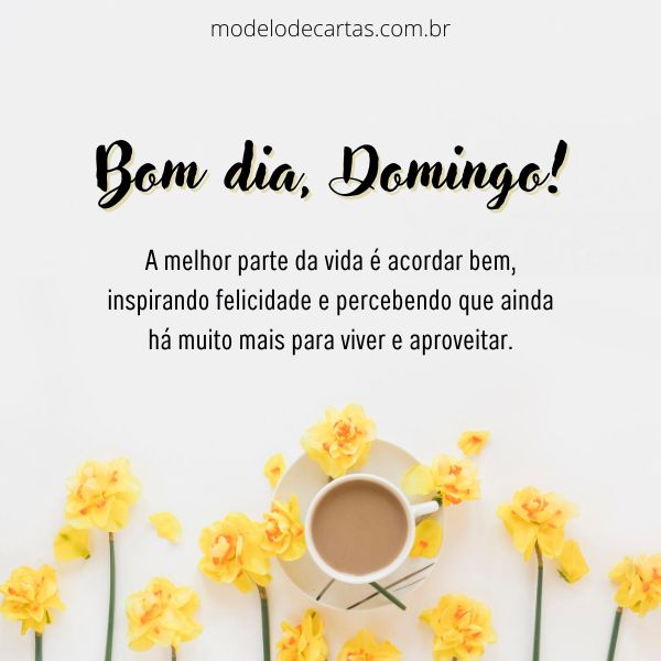 frases curtas bom dia domingo