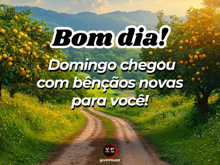 mensagens de bom dia para família domingo