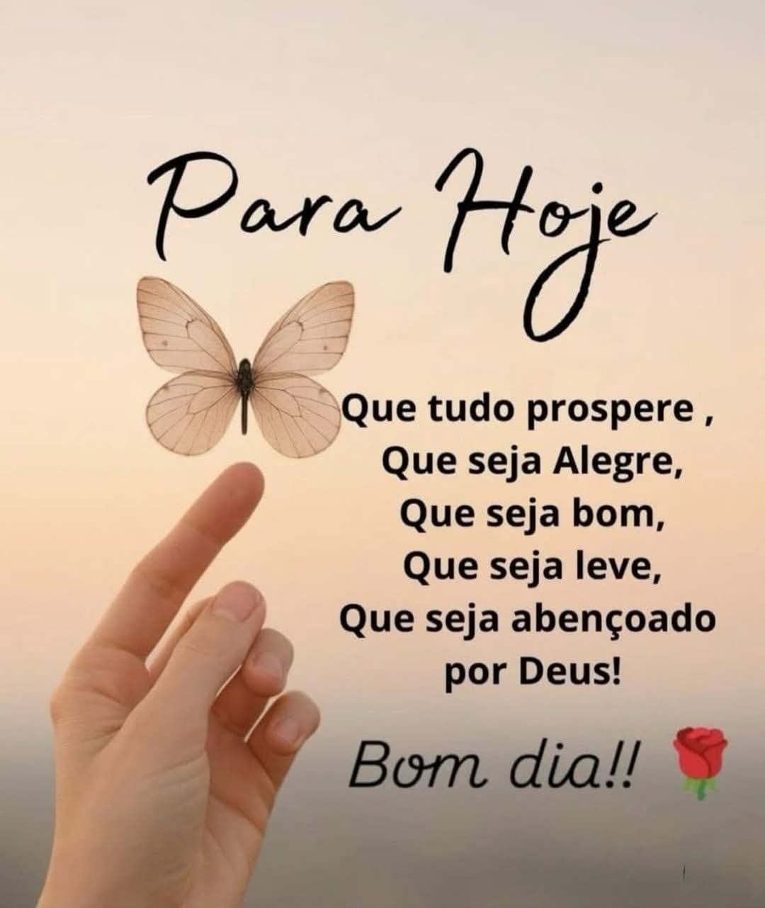 frases de bom dia