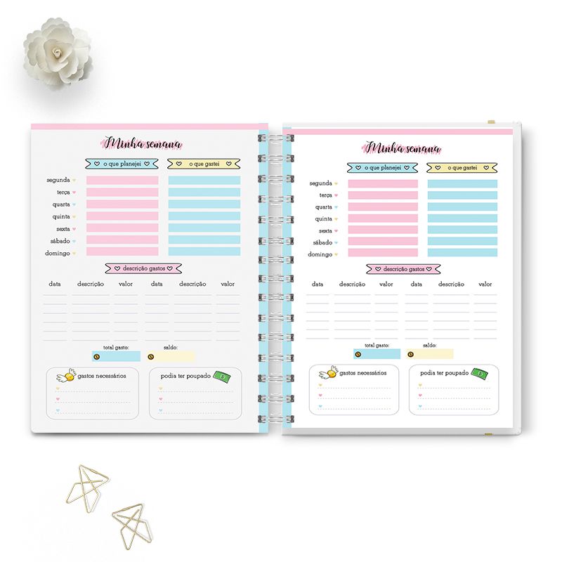 planner financeiro gratuito pdf