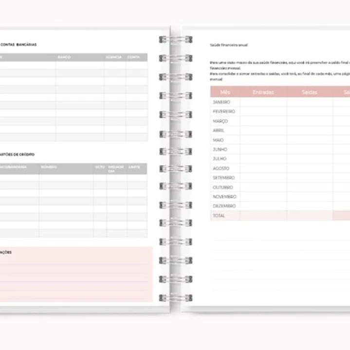 organizador financeiro pessoal pdf