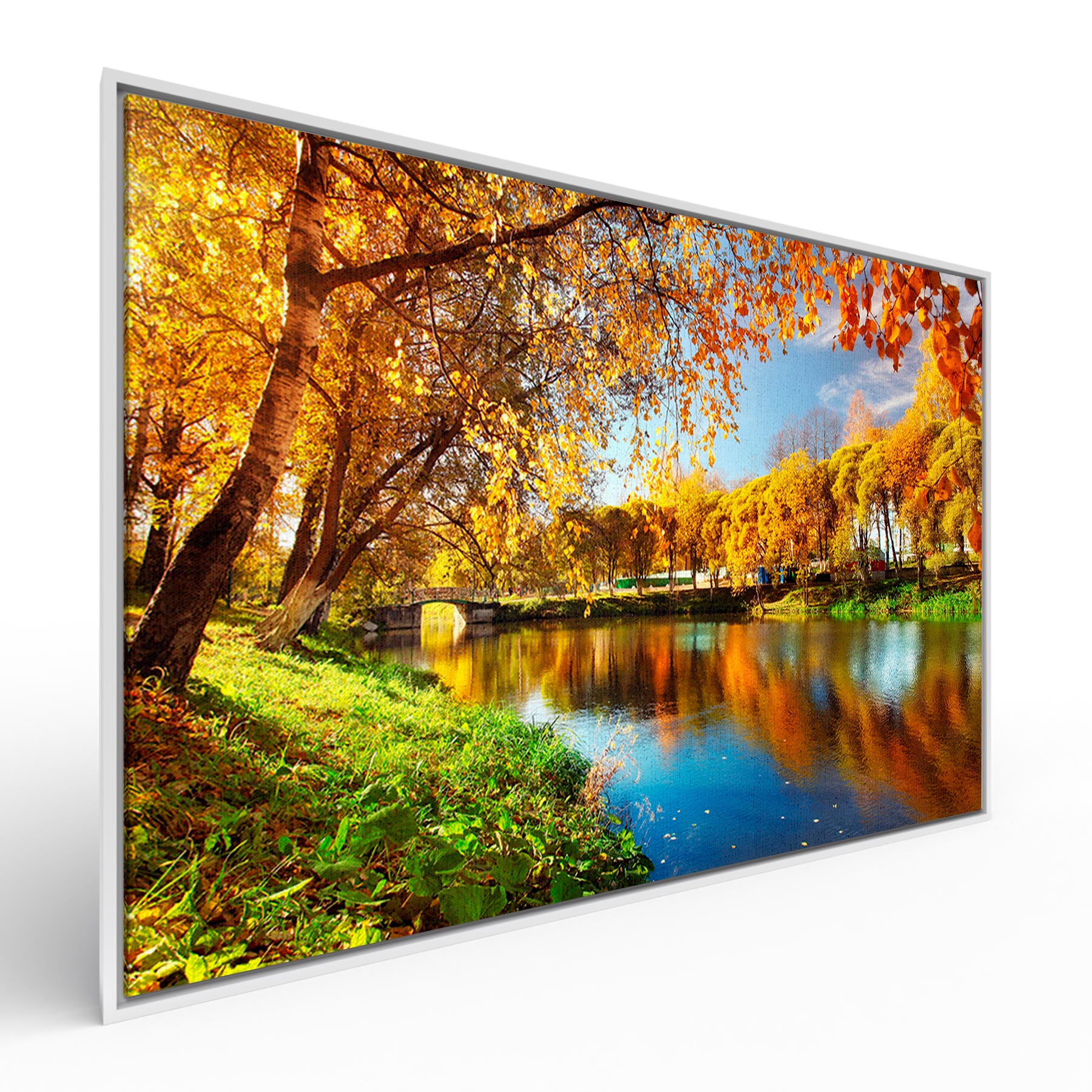 kits de quadros natureza