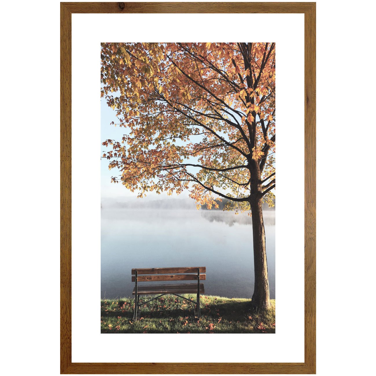 quadros decorativos natureza