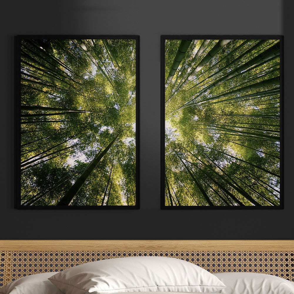 quadros de parede natureza