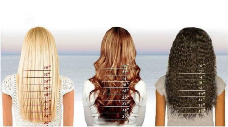 tempo para cabelo crescer 20 cm