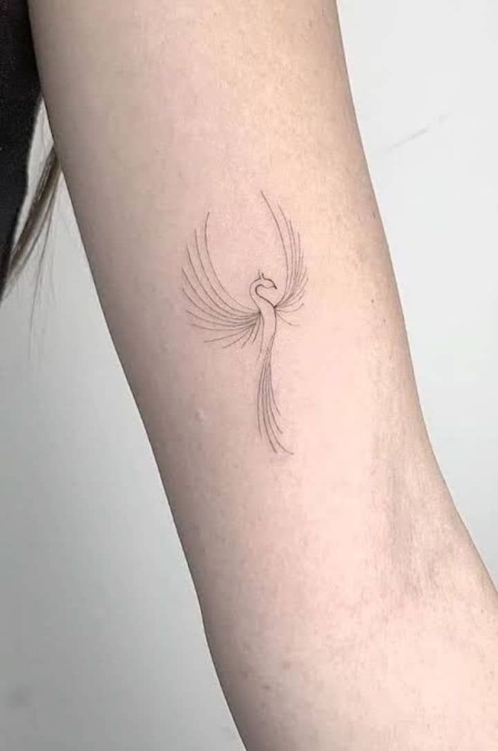 tatuagem fênix delicada feminina